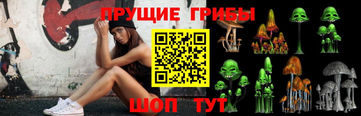 Новороссийск  наркошоп  Вход с VPN  Псилоцибиновые грибы GOLDEN TEACHER  Псилоцибиновые грибы мухоморы 
